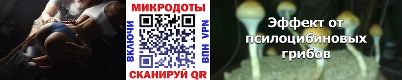 блэк спрут как зайти  Мыски  Галлюциногенные грибы мухоморы  где найти  